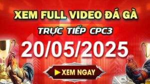 Xem Lại Video Đá Gà CPC3 Ngày 20-05-2025 cùng GACAM67