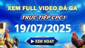 Xem lại video đá gà CPC1 ngày 19_07_2025 tại Gacam67