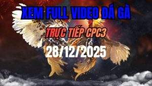 Xem Lại Video Đá Gà CPC3 Trực Tiếp Ngày 28/12/2025