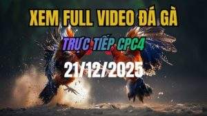 Xem Lại Video Đá Gà CPC4 Trực Tiếp Ngày 21/12/2025