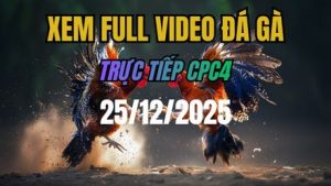 Xem Lại Video Đá Gà CPC4 Trực Tiếp Ngày 25/12/2025