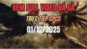 Xem Lai Video Da Ga CPC5 Truc Tiep Ngay 01122025 1