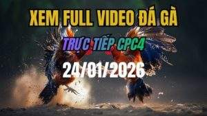 Xem Lại Video Đá Gà CPC4 Ngày 24/01/2026