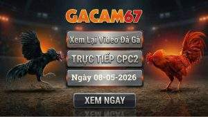 Xem Lại Video Đá Gà CPC2 Ngày 08/05/2026