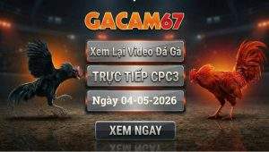 Xem Lại Video Đá Gà CPC3 Ngày 04/05/2026