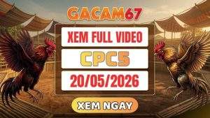 Xem Lại Video Đá Gà CPC5 Ngày 20/05/2026