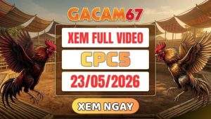 Xem Lại Video Đá Gà CPC5 Ngày 23/05/2026